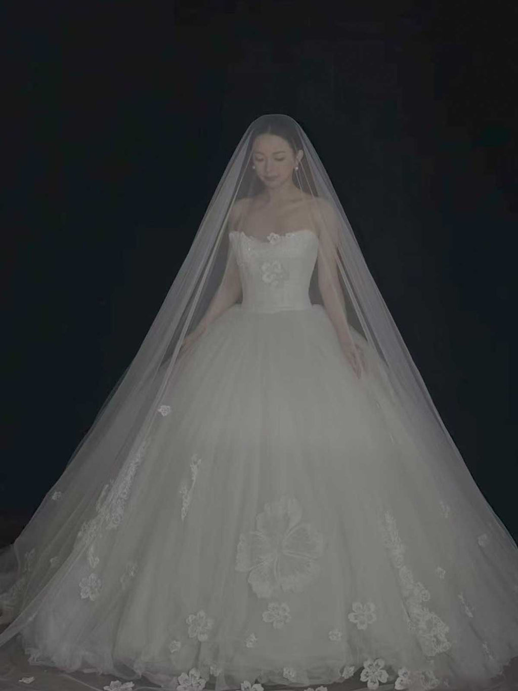 White Lace Strapless A-Line Wedding Dress with Cathedral Veil & Train